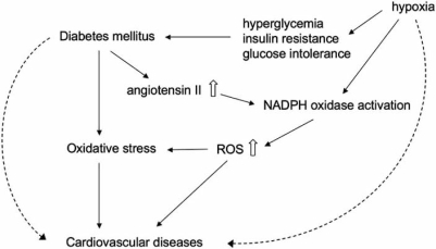 Oxidative Stress and Diabetes